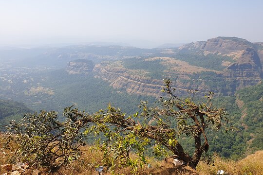 Tour image 14